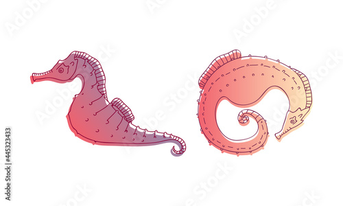 Stylized Sea Horses with Bony Armour and Curled Prehensile Tail Vector Set