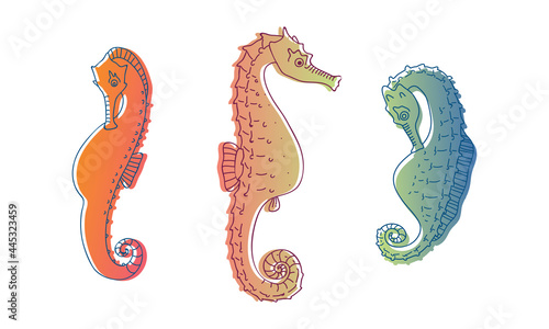 Stylized Sea Horses with Bony Armour and Curled Prehensile Tail Vector Set