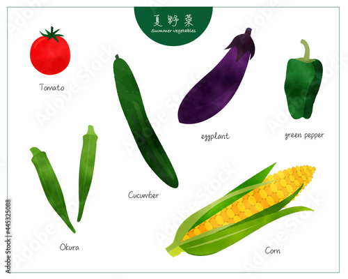 シンプルな夏野菜セット／手描き水彩／園芸