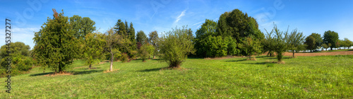 Auf einer Streuobstwiese im Norden von Frankfurt am Main
