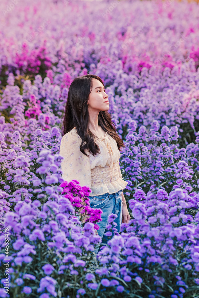 Teenager in a beautiful Margaret flower field, Teenager in a beautiful Margaret flower field,