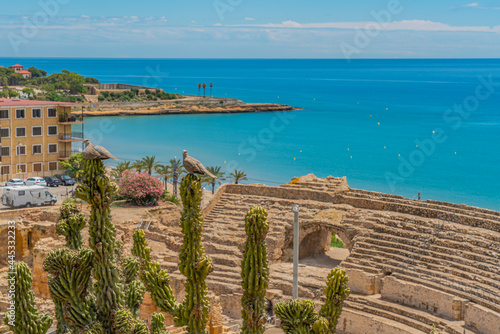 Billede på lærred Roman amphitheatre in Tarragona, Costa Dorada, Catalonia, Spain