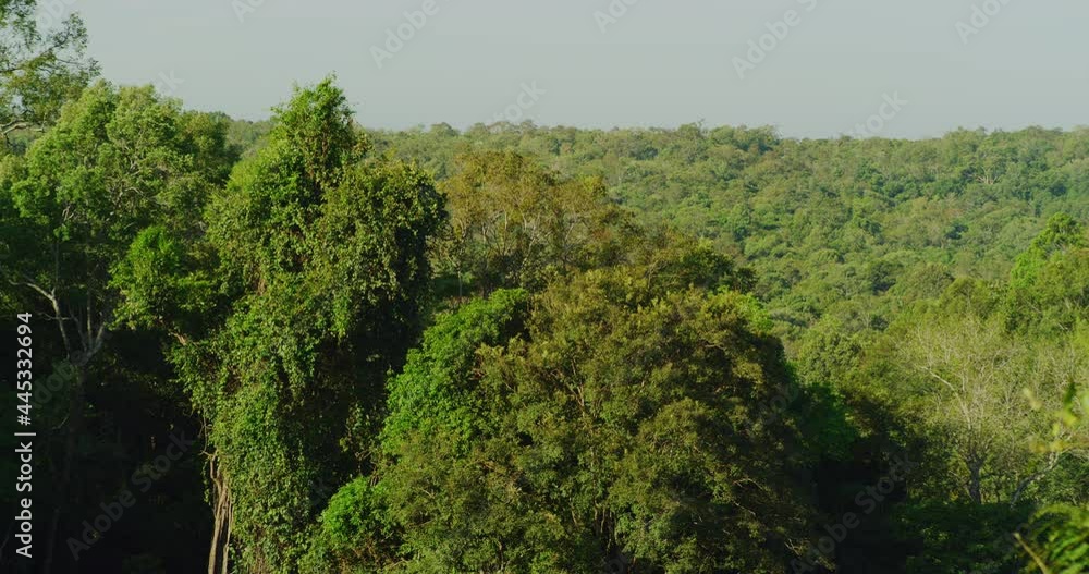 Morning Time Deep In The Jungles Of Mondulkiri, Cambodia Morning Time Deep In The Jungles Of Mondulkiri, Cambodia