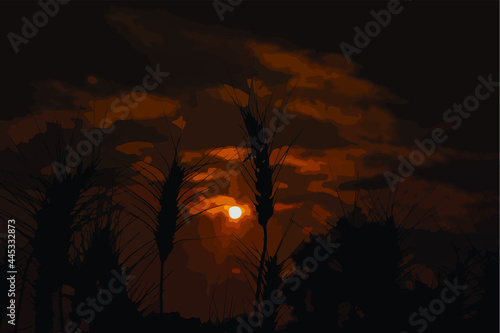 Vector illustration of Wheat field silhouette at sunset