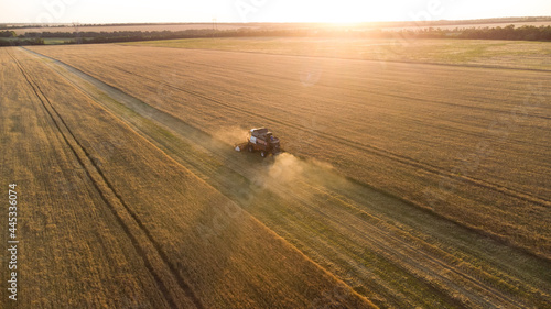 Fotografie harvesting of grain crops by combine harvester