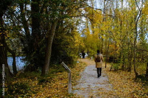 A woman walks a tree-lined path in autumn, with fallen leaves and the lake to the left