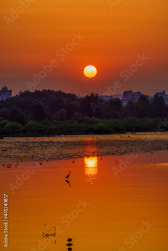 beautiful landscape with a sunset on a lake with silhouettes of birds