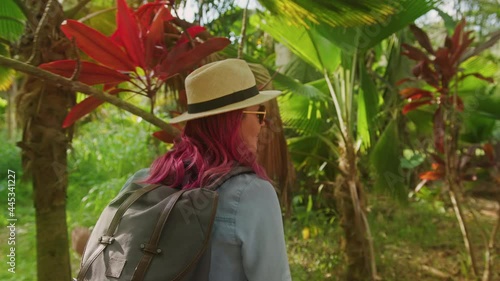 Outdoors summer adventure, woman with backpack walking by tropical jungle forest photo