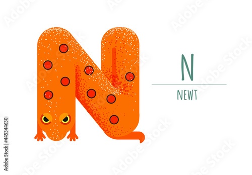 Fotografiet orange newt in the form of a letter - N
