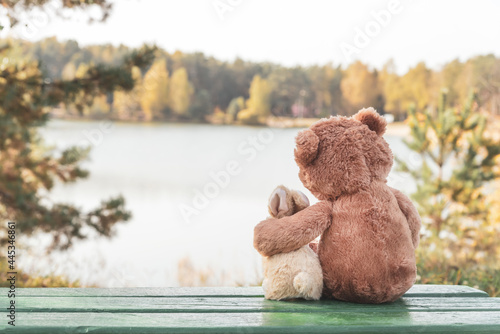Fluffy brown teddy bear hugs small toy bunny sitting on green bench on bank of tranquil river on autumn day backside view