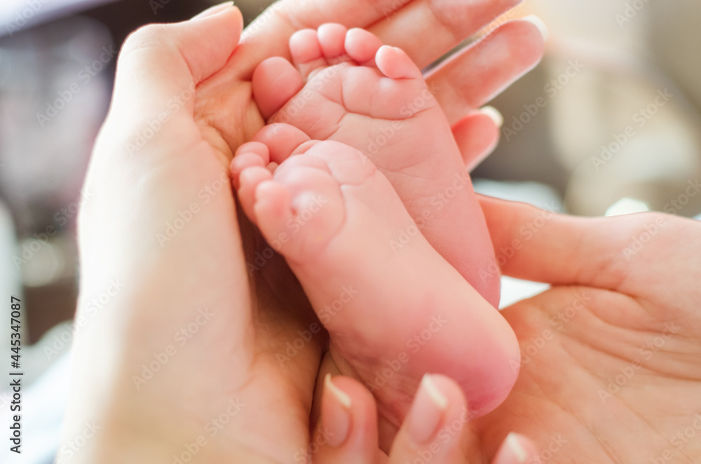 The baby's small legs in his mother's hands The baby's small legs in his mother's hands