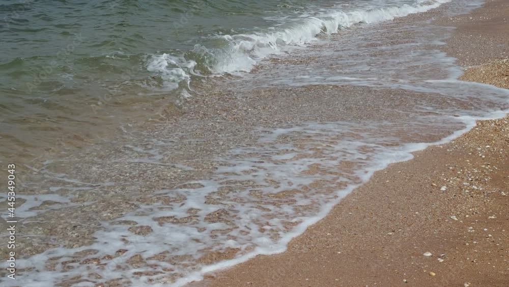 Beautiful seashell on the sandy beach and sea waves on a sunny summer day. Concept of summer, beach vacation. Beautiful seashell on the sandy beach and sea waves on a sunny summer day. Concept of summer, beach vacation.