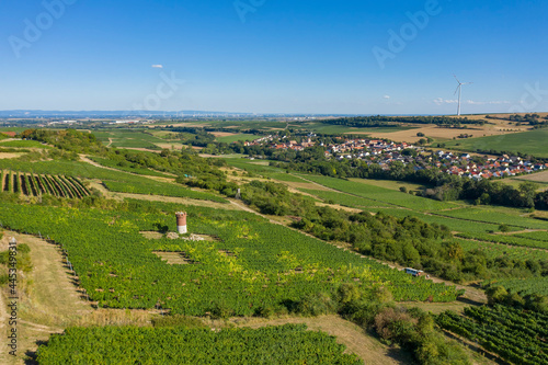 Bird's eye view of the vineyards between Zellertal and Mölsheim / Germany 