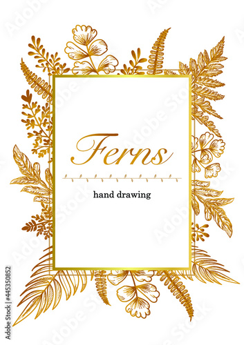ferns pencil sketching art hand drawing vector golden frame