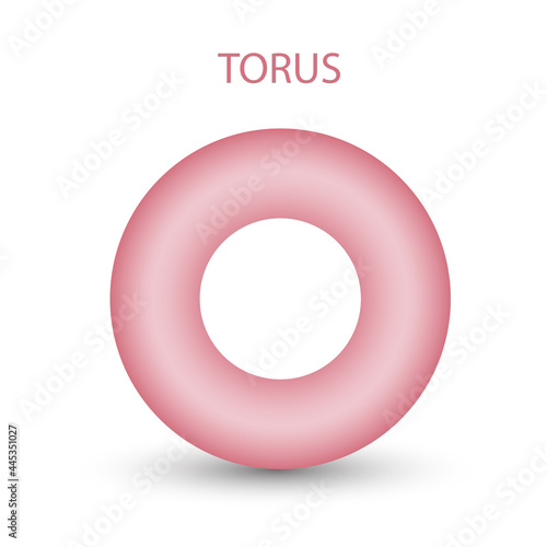 Vector torus with gradients and shadow for game, icon, package design, logo, mobile, ui, web, education. 3d donut on a white background. Geometric figures for your design.
