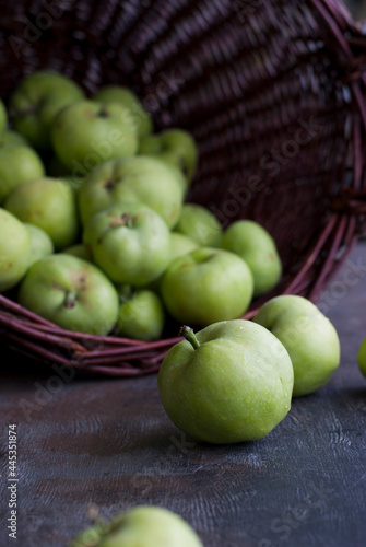 Natural green apples from the home garden on a dark background.
