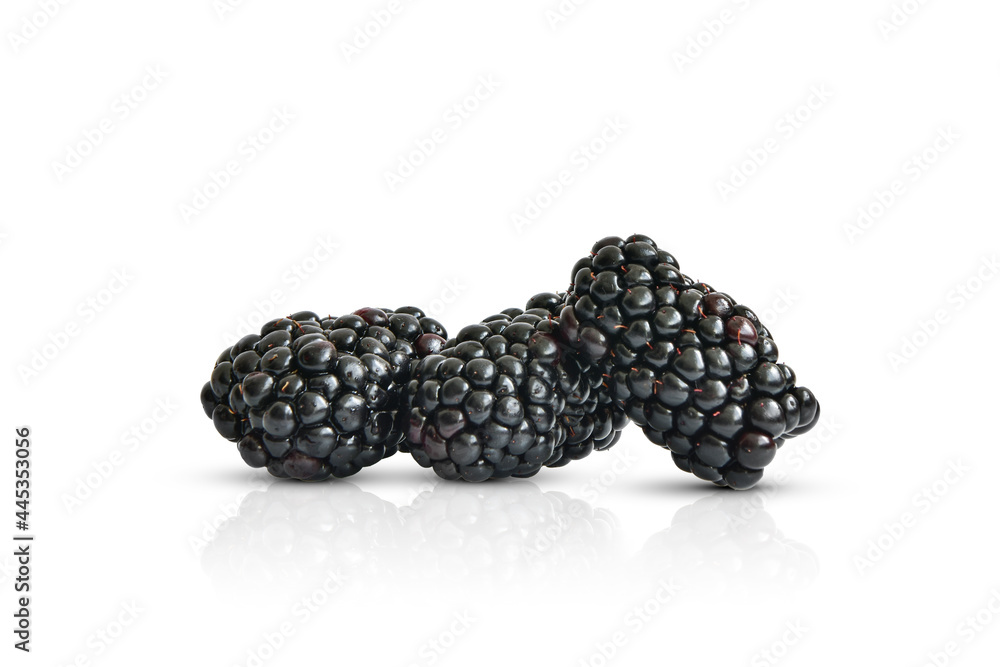 Three large blackberries isolated on white with reflection and shadow. Organic products. Design elements. Proper nutrition. Delicious dessert Three large blackberries isolated on white with reflection and shadow. Organic products. Design elements. Proper nutrition. Delicious dessert