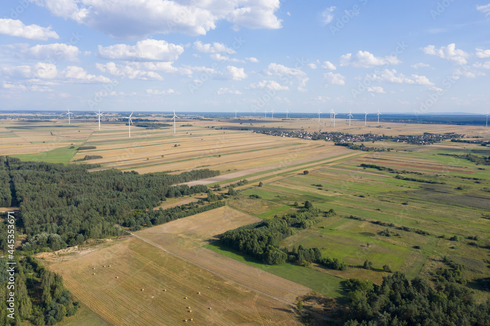 Landscape with fields and meadows and wind turbines