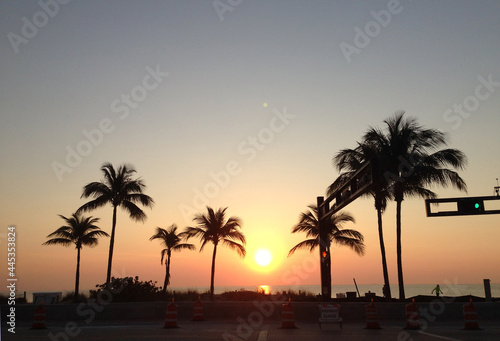 Beautiful palm tree shadow in the background of golden sunrise in Fort Lauderdale beach, Florida, USA