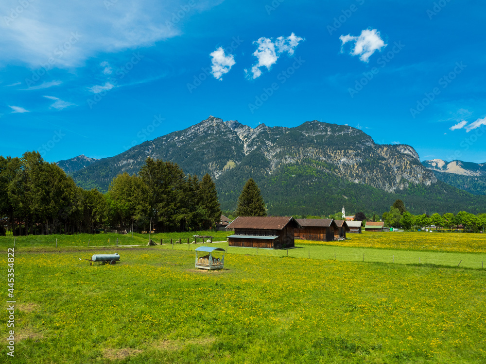 View of the alpine, spring lush meadows