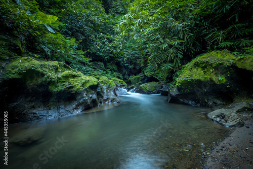 Tropical landscape. River in rainforest. Soft focus. Slow shutter speed  motion photography. Nature background. Environment concept. Bangli  Bali  Indonesia