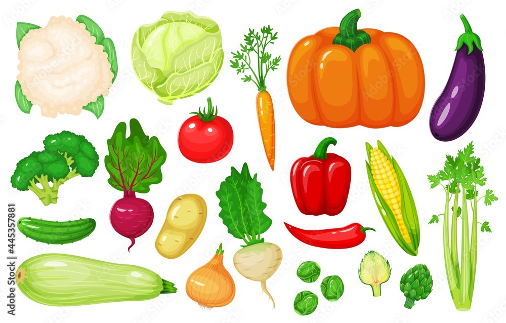 Cartoon vegetables. Carrot, corn, pepper, celery, cauliflower, broccoli, beetroot, onion, cucumber. Fresh organic vegetable vector set Farm organic veggies for market isolated on white Cartoon vegetables. Carrot, corn, pepper, celery, cauliflower, broccoli, beetroot, onion, cucumber. Fresh organic vegetable vector set Farm organic veggies for market isolated on white