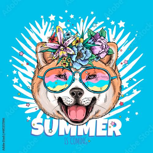 Cute akita inu dog head in sunglasses. Summer is coming illustration. Stylish image for printing on any surface	