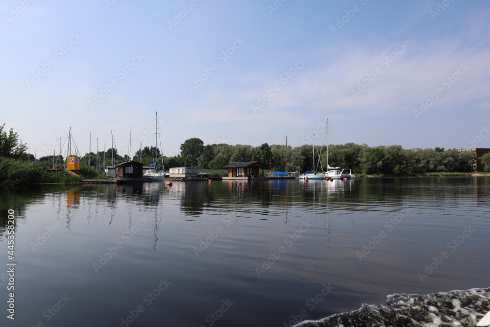 boats in the harbor