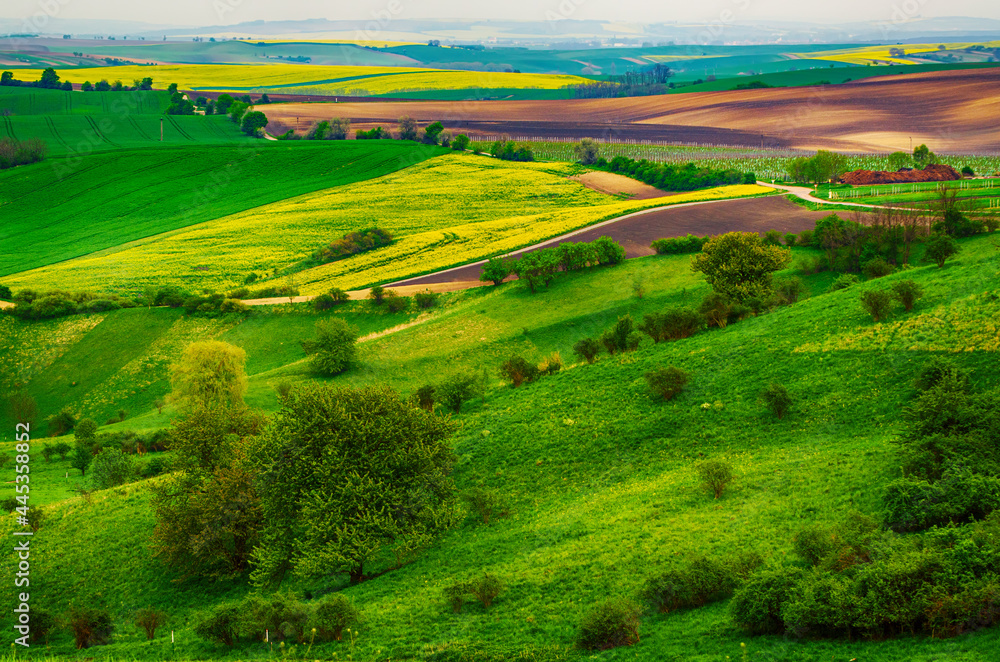 Naklejka premium Rural spring landscape