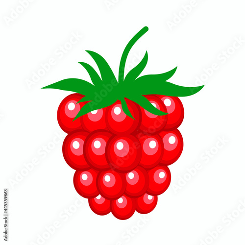 Raspberry berry isolated on a white background.Vector red raspberries can be used in cosmetics,juices,jams, textiles.postcards.