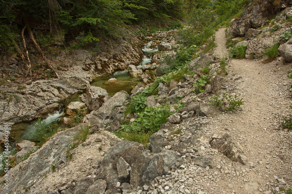 Hiking trail in Oetschergraben near to the Oetscher in Austria, Europe
Hiking trail in Oetschergraben near to the Oetscher in Austria, Europe