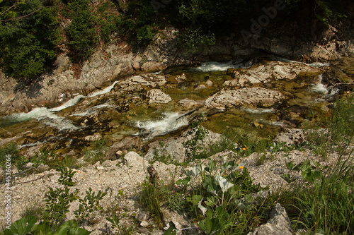 River Erlauf in Oetschergraben near to the Oetscher in Austria, Europe 