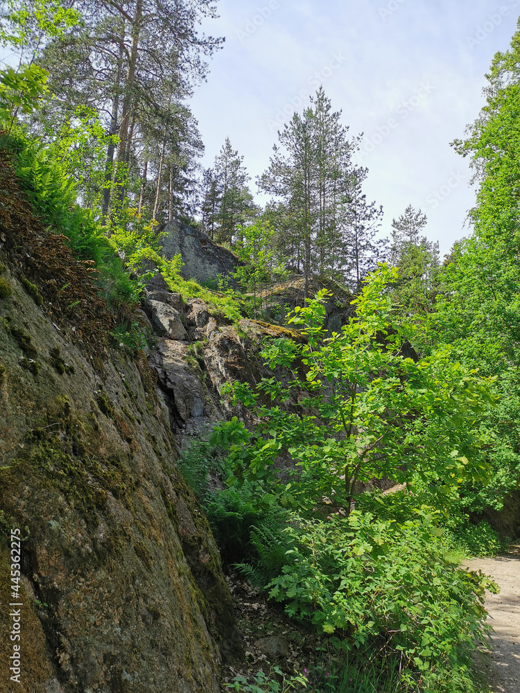 A boulder fence with trees growing on it in the rocky natural park of Monrepos in the city of Vyborg on a clear summer day. A boulder fence with trees growing on it in the rocky natural park of Monrepos in the city of Vyborg on a clear summer day.