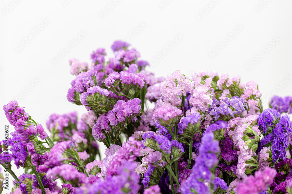Statis dried flowers in the bouquet on basket
Statis dried flowers in the bouquet on basket