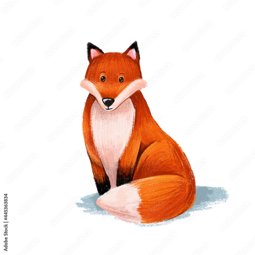 Obraz premium The fox is sitting The red fox is sitting. Cute red fox. Children's drawing of a fox