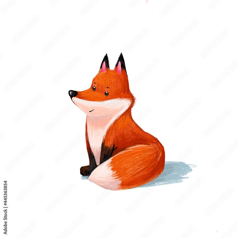 Obraz a cute fox is sitting. the fox is watching. The fox is sitting drawing.The red fox smiles