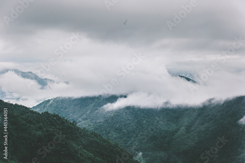 mountains and fog 