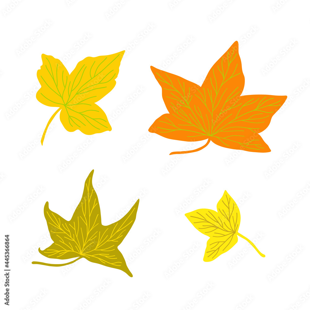 Autumn leaves simple vector minimalist concept flat style illustration, multicolored hand drawn natural floral elements set, element for invitations, greeting cards, booklet, autumn holiday decor Autumn leaves simple vector minimalist concept flat style illustration, multicolored hand drawn natural floral elements set, element for invitations, greeting cards, booklet, autumn holiday decor