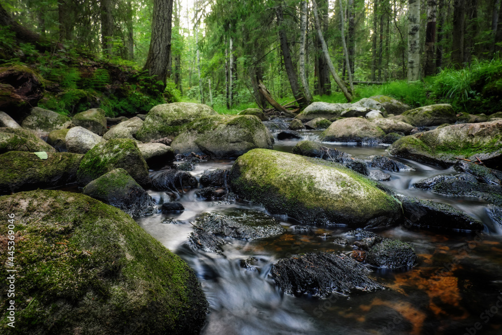 Obraz premium Forest river creek water flow. Beautiful landscape