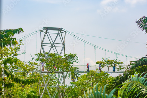 Women walking across Africa's longest canopy walk, at the Lekki conservation centre, Lagos, Nigeria.