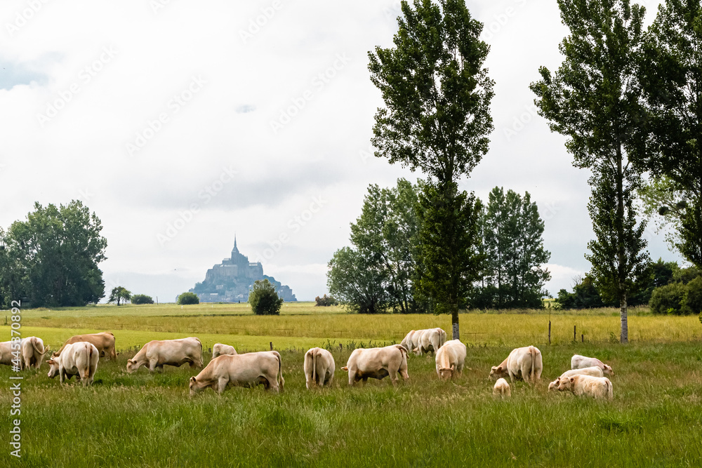 Fototapeta premium Mont Saint-Michel, seen from the village of Huisnes sur mer