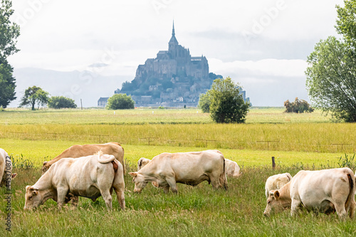 Mont Saint-Michel, seen from the village of Huisnes sur mer