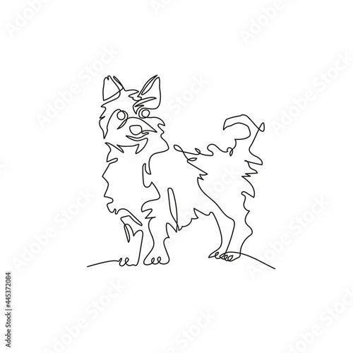 Yorkshire Terrier. The dog is drawn in one line. Minimalistic graphics.