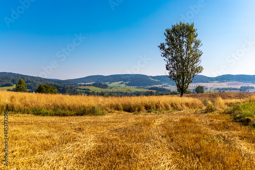 Landscape of green and yellow fields with small hills and blue sky and mountains in background
