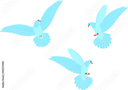 Three birds of a dove in flight with wings in the sky. Vector illustration