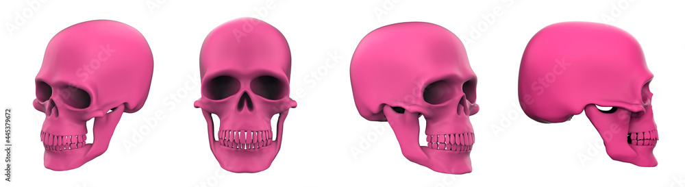 Set of images of pink skulls. 3d rendering pink skull Set of images of pink skulls. 3d rendering pink skull