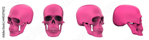 Set of images of pink skulls. 3d rendering  pink skull