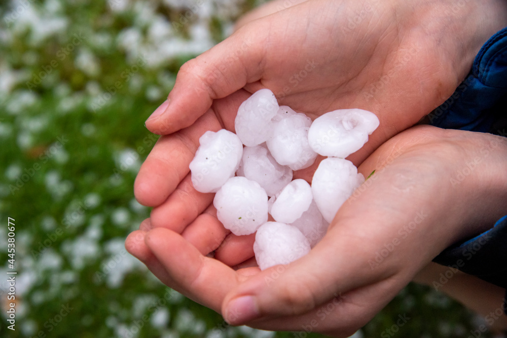 hand holding big ice balls after just after a hail storm in Switzerland hand holding big ice balls after just after a hail storm in Switzerland