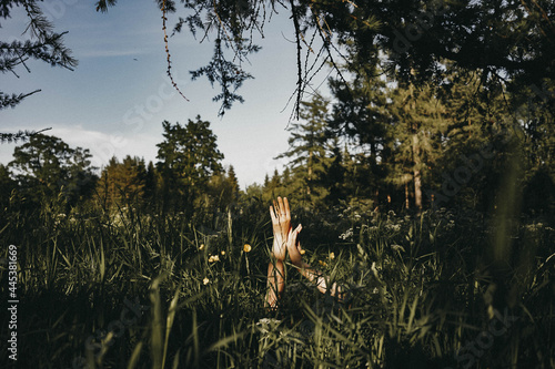 Human hands in the grass