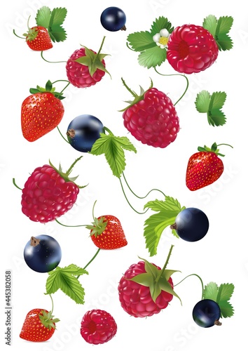 Fototapeta Naklejka Na Ścianę i Meble -  delicious bright red black berries sweet summer with leaves currant strawberry raspberry